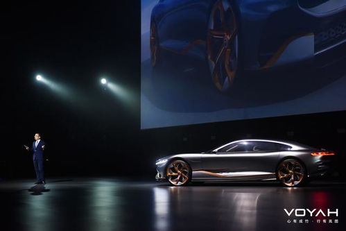 心有成竹 行有嵐圖 voyah i land概念車全球首發